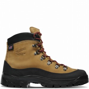 Brown Danner Crater Rim Men's Hiking Boots | 41654