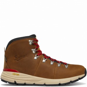 Brown Danner Mountain 600 Leaf GTX Men's Hiking Boots | 11135