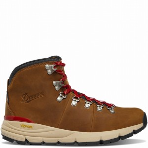 Brown Danner Mountain 600 Leaf GTX Men's Hiking Boots | 92604