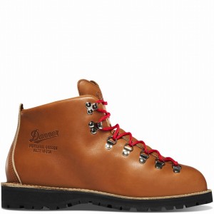 Brown Danner Mountain Light Men's Hiking Boots | 65670