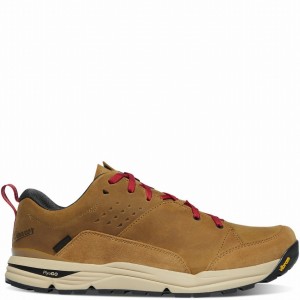 Brown Danner Trail Roamer Men's Hiking Shoes | 74701