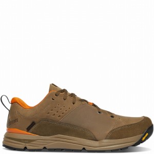 Brown Danner Trail Roamer Men's Hiking Shoes | 11854