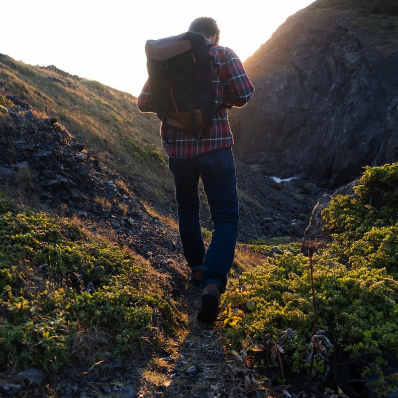 Black Danner 26L Men's Daypack | 88300