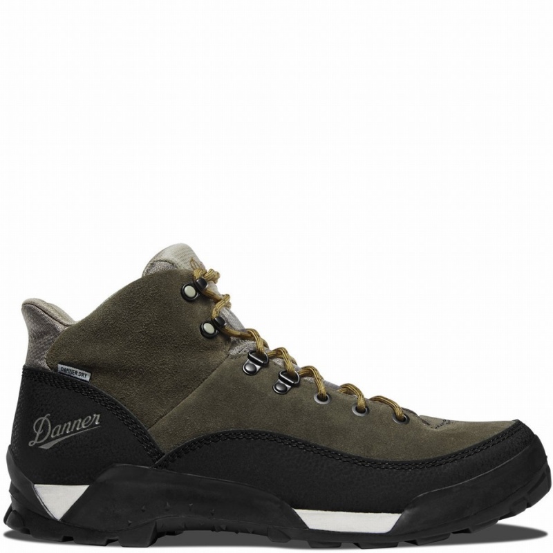 Black Danner Panorama Men\'s Hiking Boots | 26961