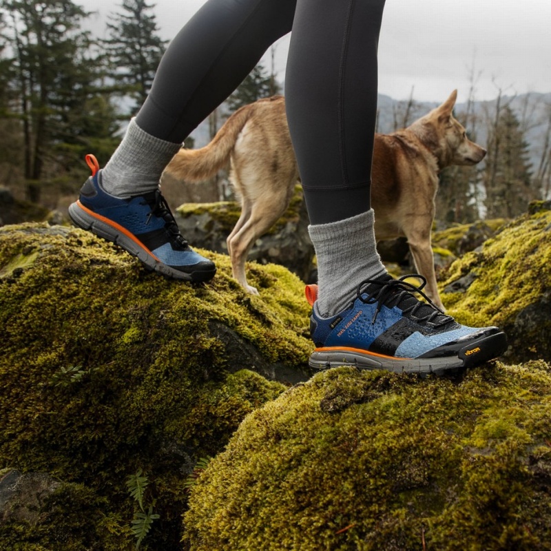 Blue Danner Trail 2650 Campo GTX Women's Hiking Shoes | 84183