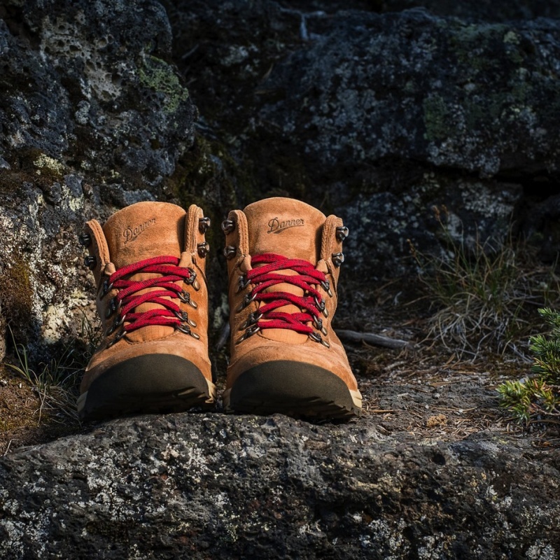 Brown Danner Adrika Women's Hiking Boots | 38586