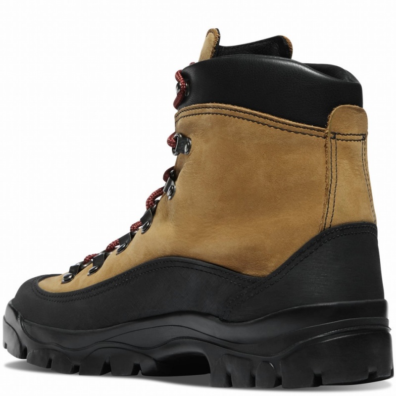 Brown Danner Crater Rim Men's Hiking Boots | 41654