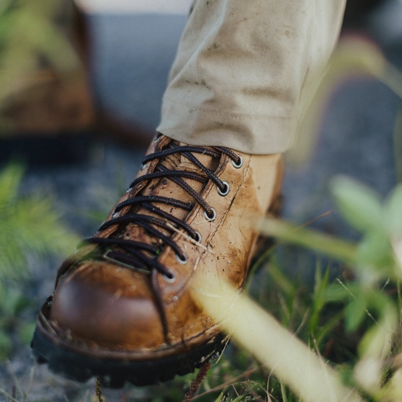 Brown Danner Elk Men's Hunting Boots | 17836