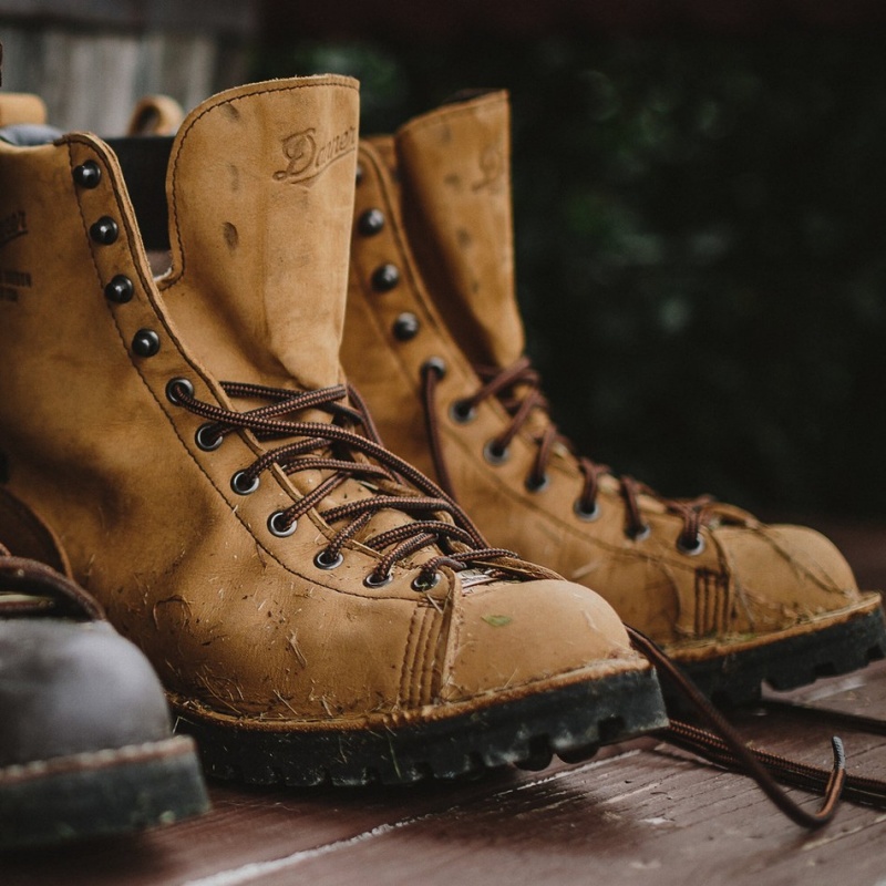 Brown Danner Elk Men's Hunting Boots | 17836