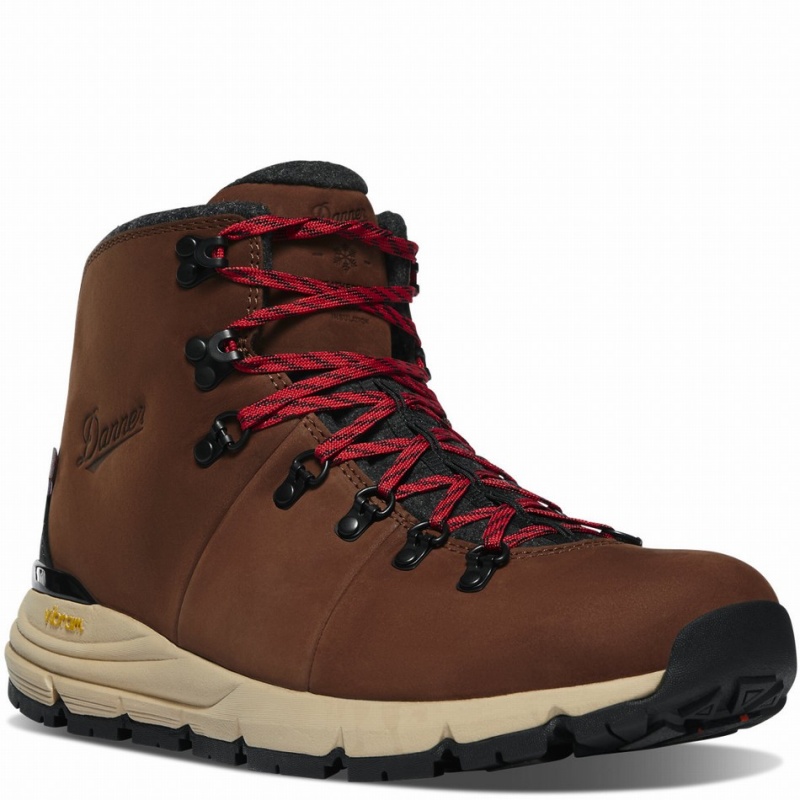 Brown Danner Mountain 600 Insulated Men's Hiking Boots | 24740