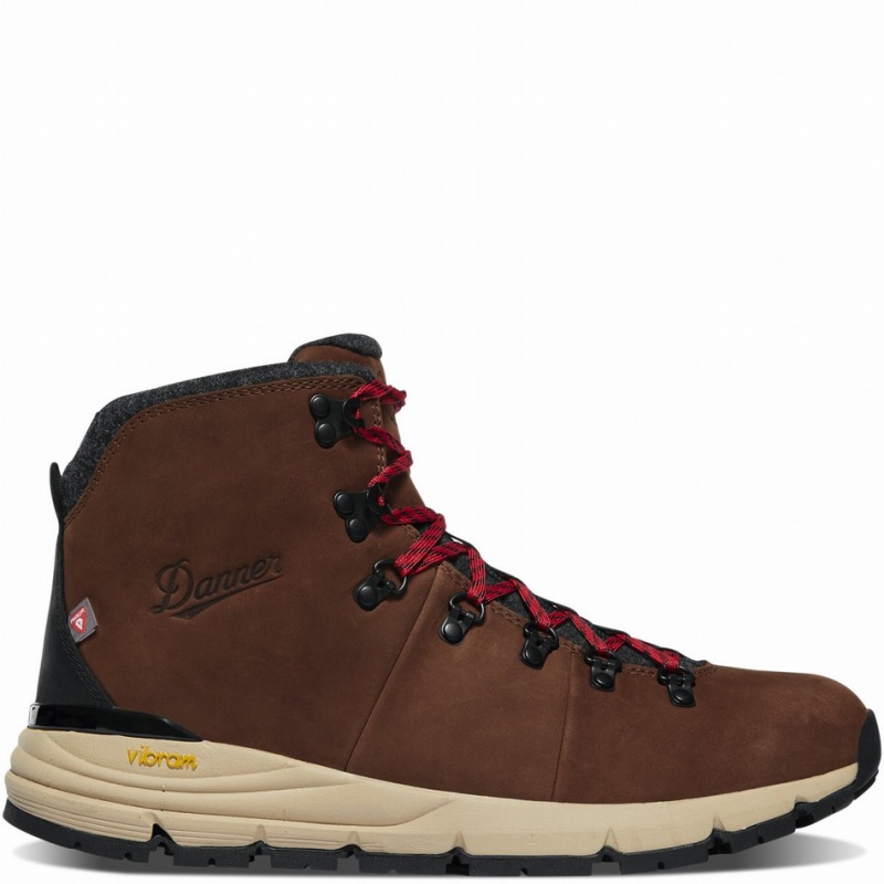 Brown Danner Mountain 600 Insulated Men\'s Hiking Boots | 24740