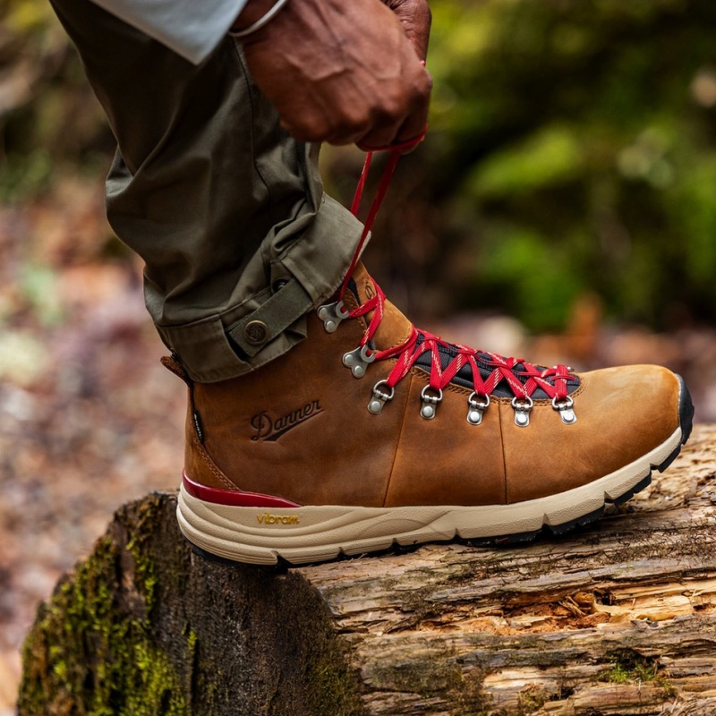 Brown Danner Mountain 600 Leaf GTX Men's Hiking Boots | 11135