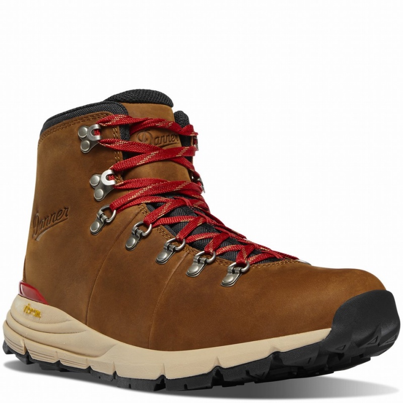 Brown Danner Mountain 600 Leaf GTX Men's Hiking Boots | 11135