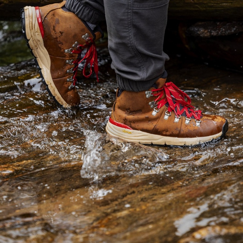 Brown Danner Mountain 600 Leaf GTX Men's Hiking Boots | 11135