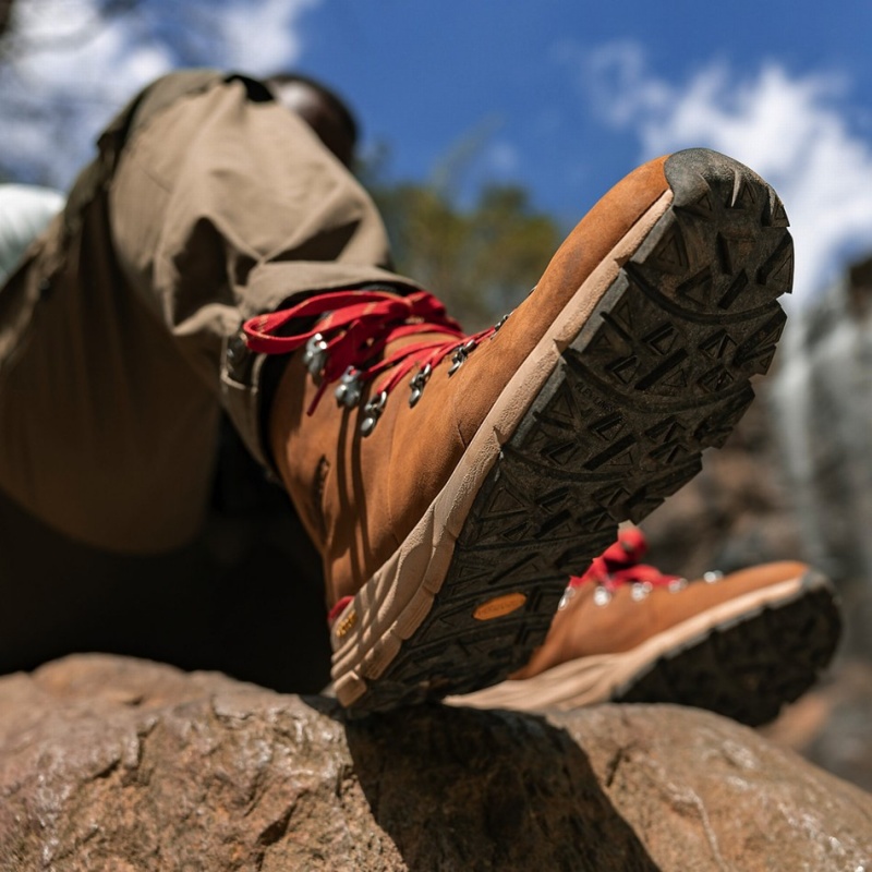 Brown Danner Mountain 600 Leaf GTX Men's Hiking Boots | 11135