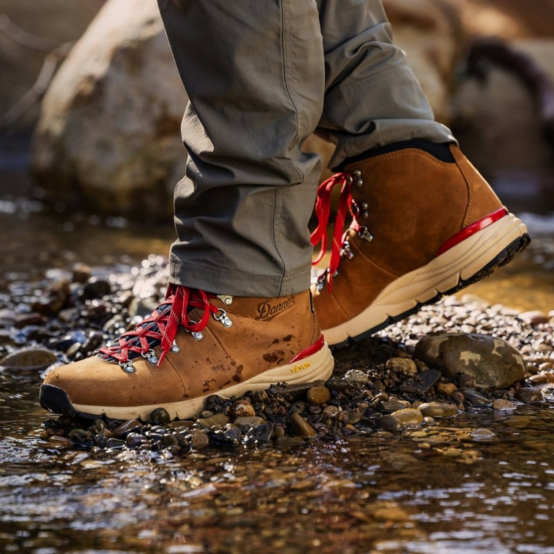 Brown Danner Mountain 600 Leaf GTX Men's Hiking Boots | 11135