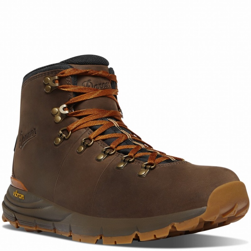 Brown Danner Mountain 600 Leaf GTX Men's Hiking Boots | 43103