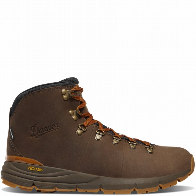 Brown Danner Mountain 600 Leaf GTX Men\'s Hiking Boots | 43103