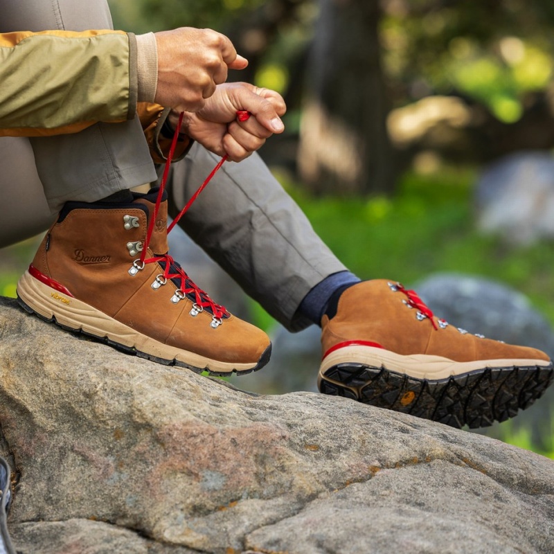 Brown Danner Mountain 600 Leaf GTX Men's Hiking Boots | 92604