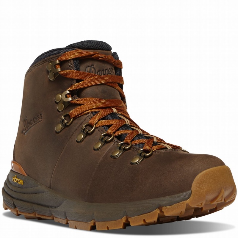 Brown Danner Mountain 600 Leaf GTX Men's Hiking Boots | 69983