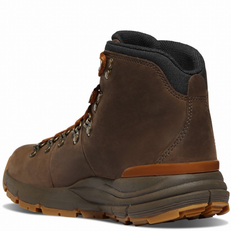 Brown Danner Mountain 600 Leaf GTX Men's Hiking Boots | 69983