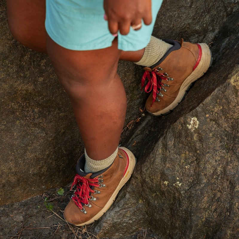 Brown Danner Mountain 600 Leaf GTX Women's Hiking Boots | 39969