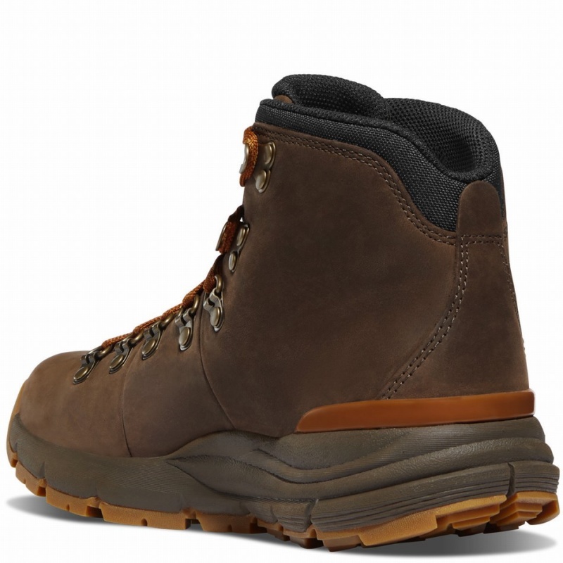 Brown Danner Mountain 600 Leaf GTX Women's Hiking Boots | 33986