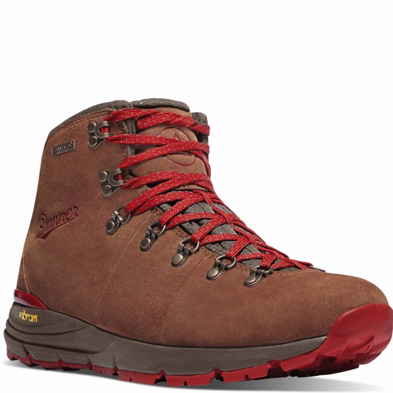 Brown Danner Mountain 600 Men's Hiking Boots | 25257