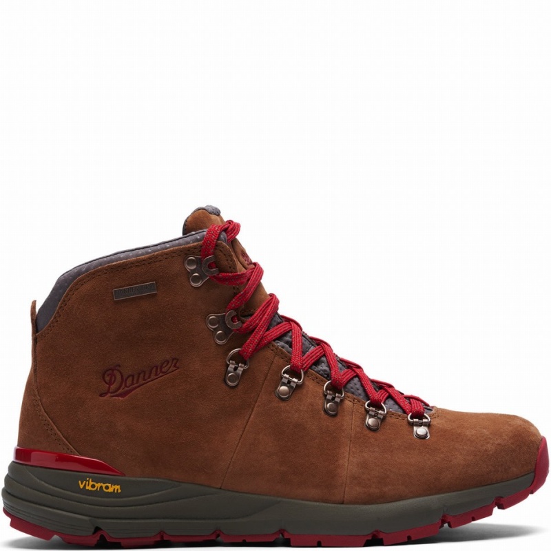 Brown Danner Mountain 600 Men\'s Hiking Boots | 25257