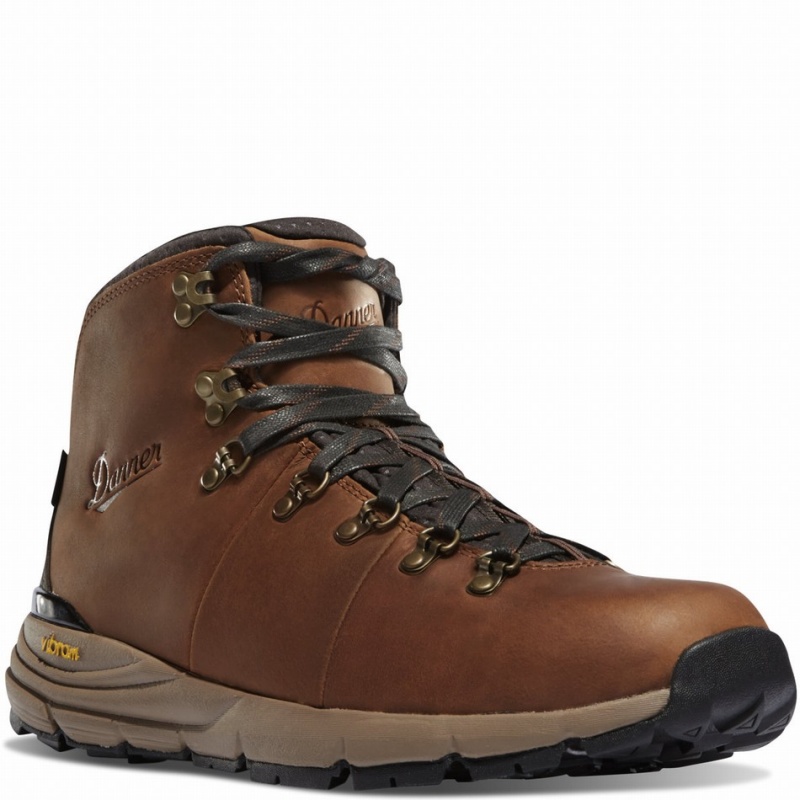 Brown Danner Mountain 600 Men's Hiking Boots | 16093