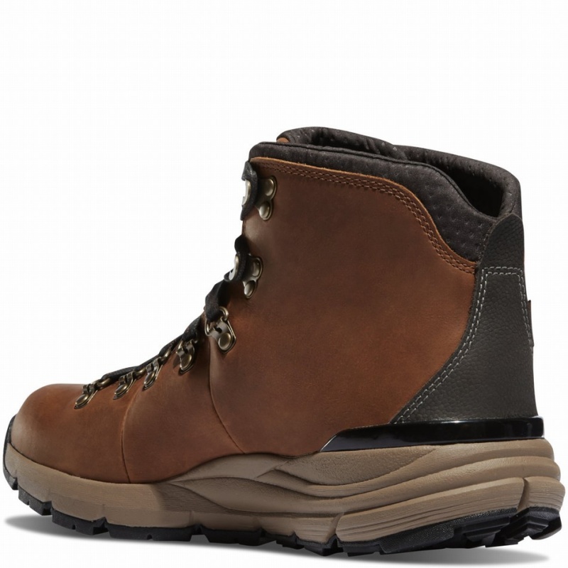 Brown Danner Mountain 600 Men's Hiking Boots | 16093