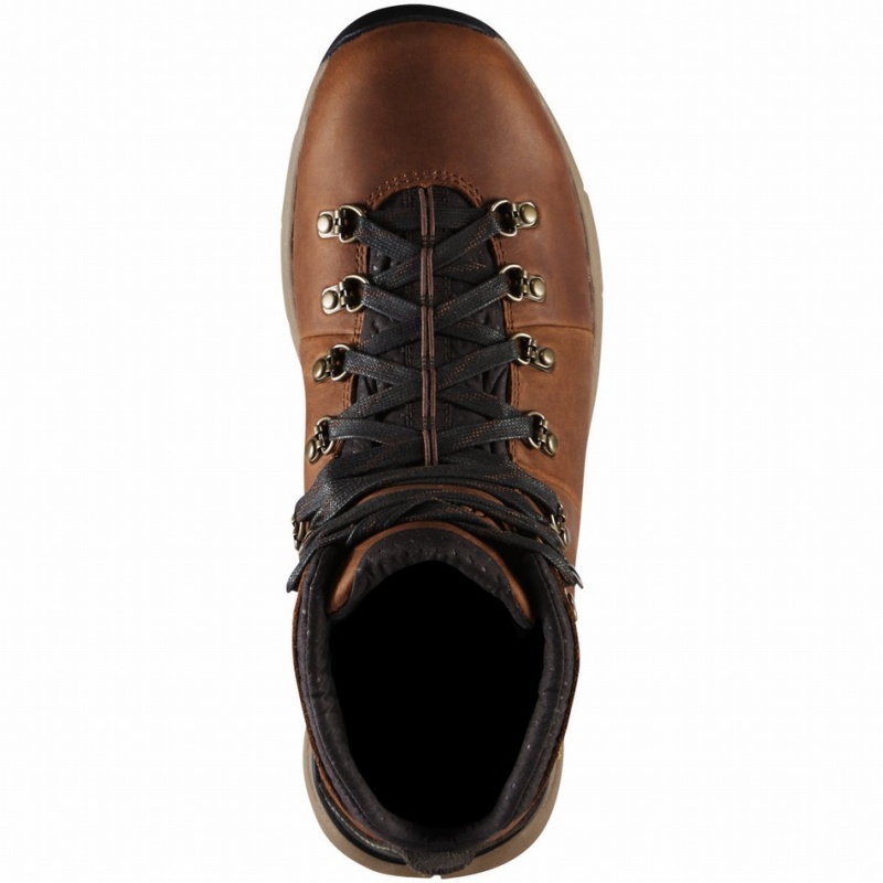 Brown Danner Mountain 600 Men's Hiking Boots | 16093