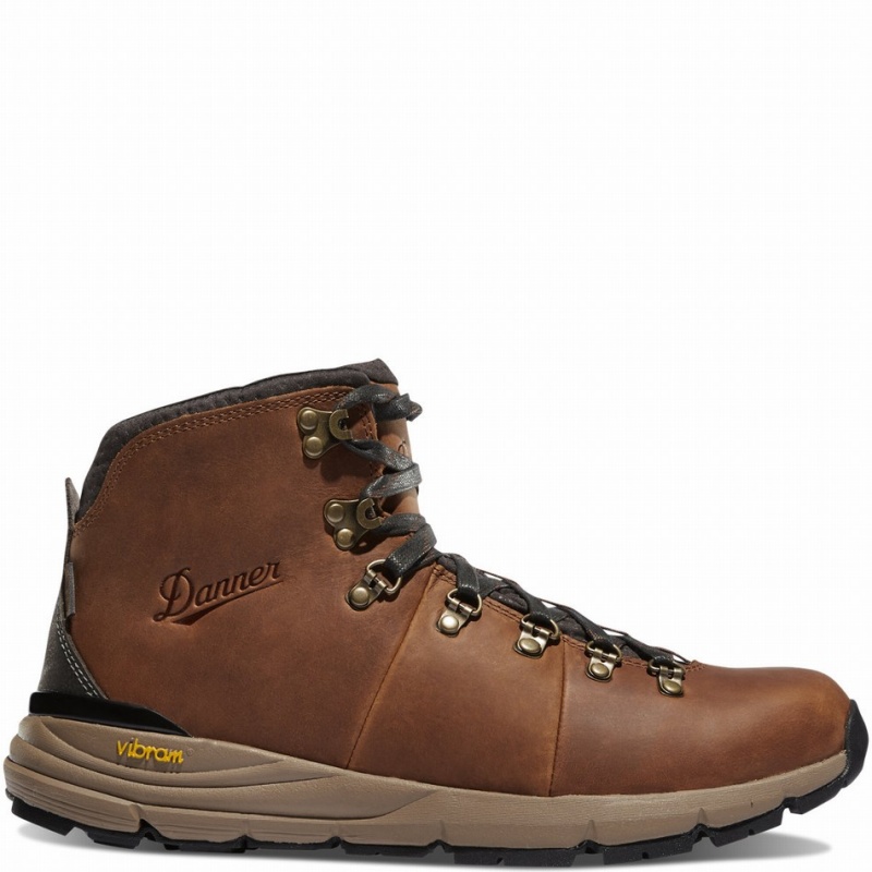 Brown Danner Mountain 600 Men\'s Hiking Boots | 16093