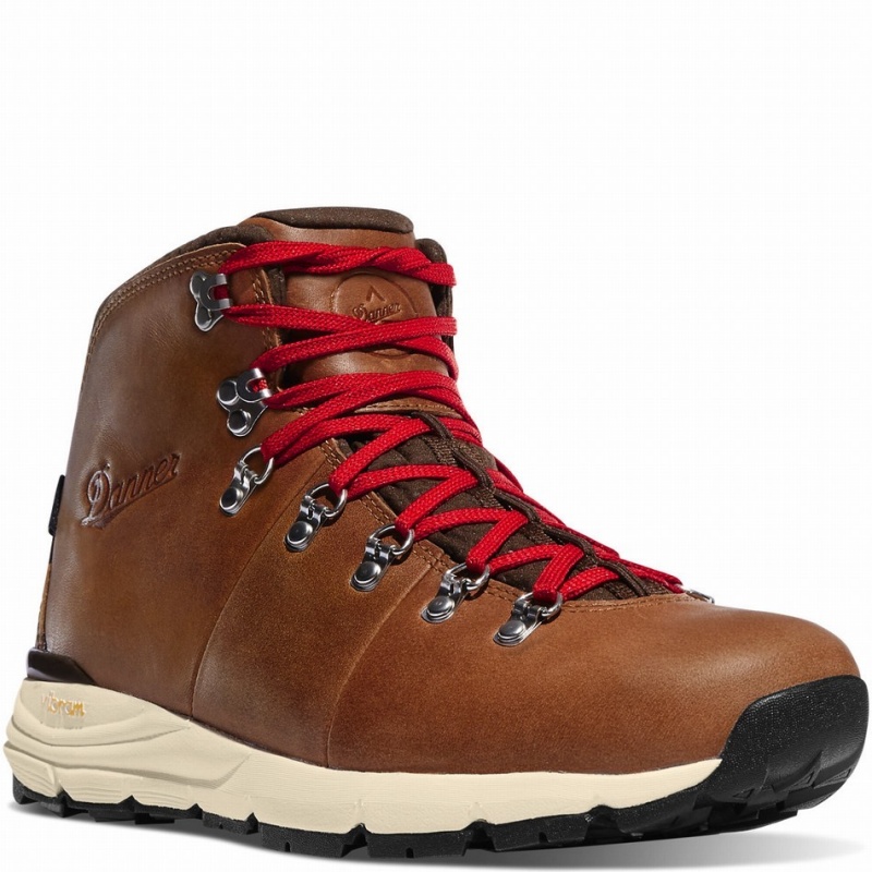 Brown Danner Mountain 600 Men's Hiking Boots | 24941