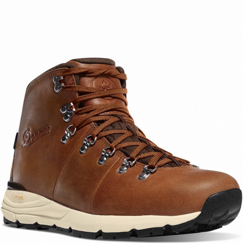 Brown Danner Mountain 600 Men's Hiking Boots | 24941