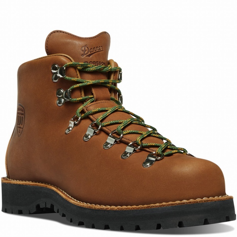 Brown Danner Mountain Light Men's Hiking Boots | 41891