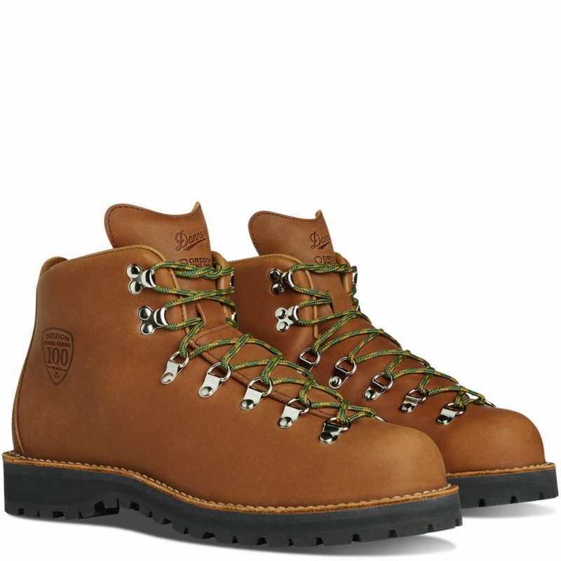 Brown Danner Mountain Light Men's Hiking Boots | 41891