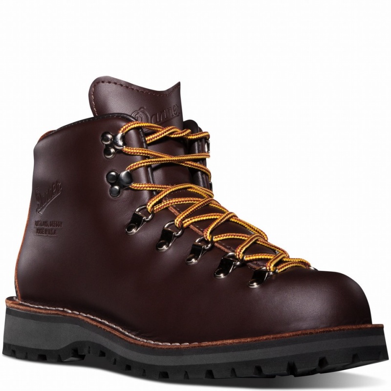 Brown Danner Mountain Light Men's Hiking Boots | 12548