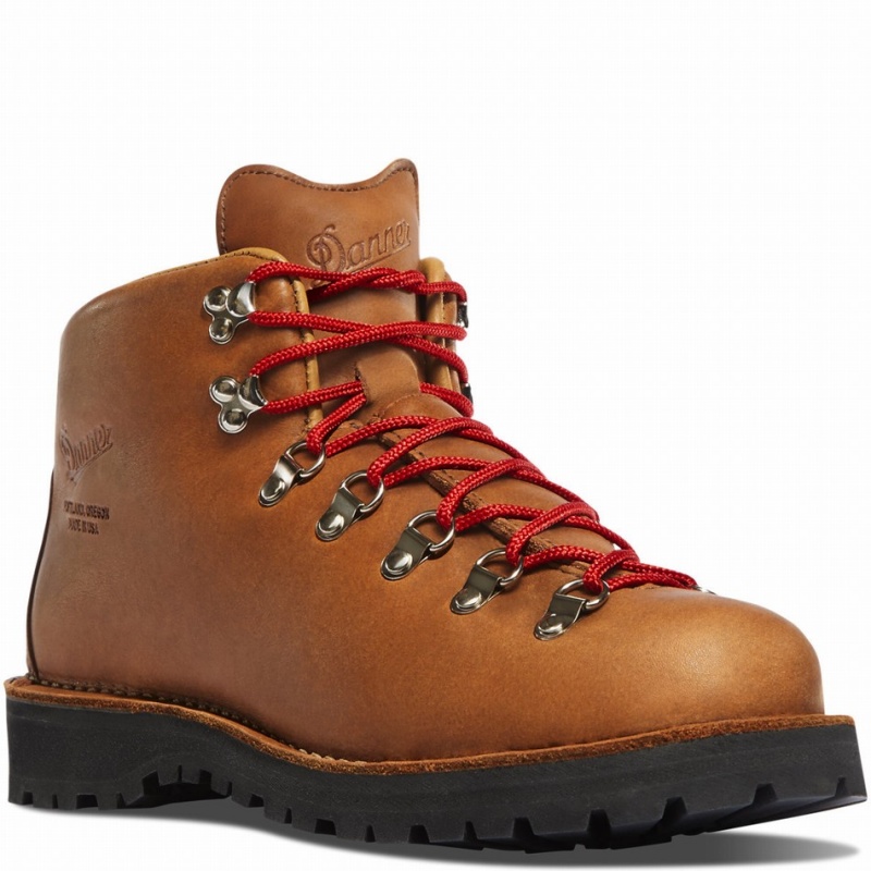 Brown Danner Mountain Light Men's Hiking Boots | 74346