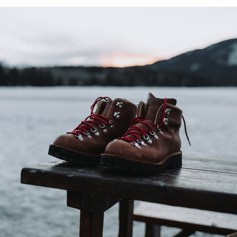 Brown Danner Mountain Light Men's Hiking Boots | 74346