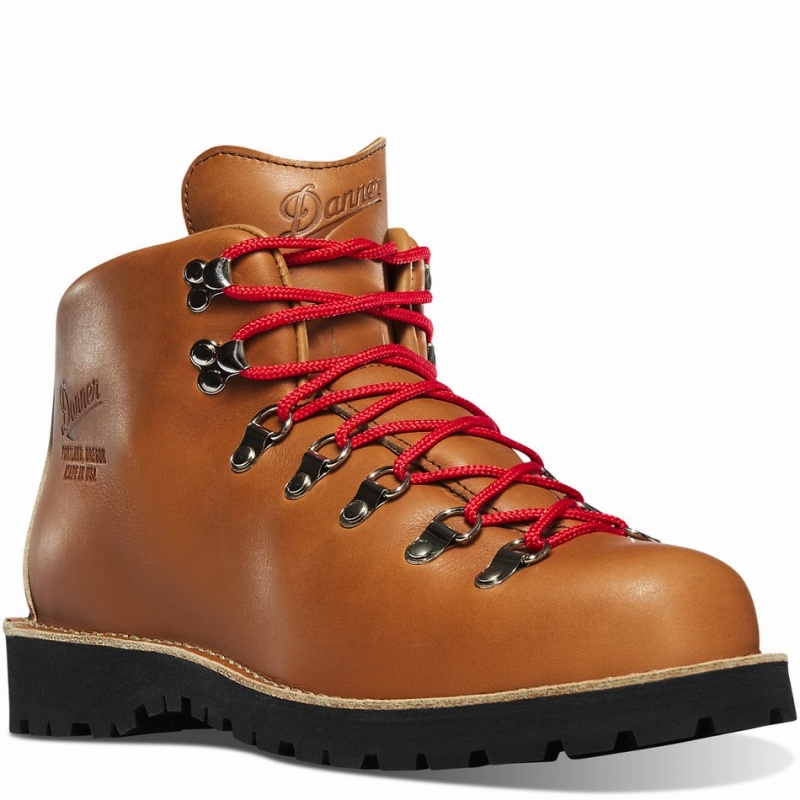 Brown Danner Mountain Light Men's Hiking Boots | 65670