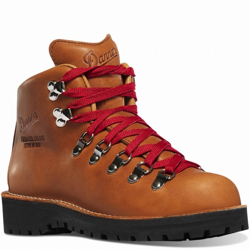 Brown Danner Mountain Light Women's Hiking Boots | 54308