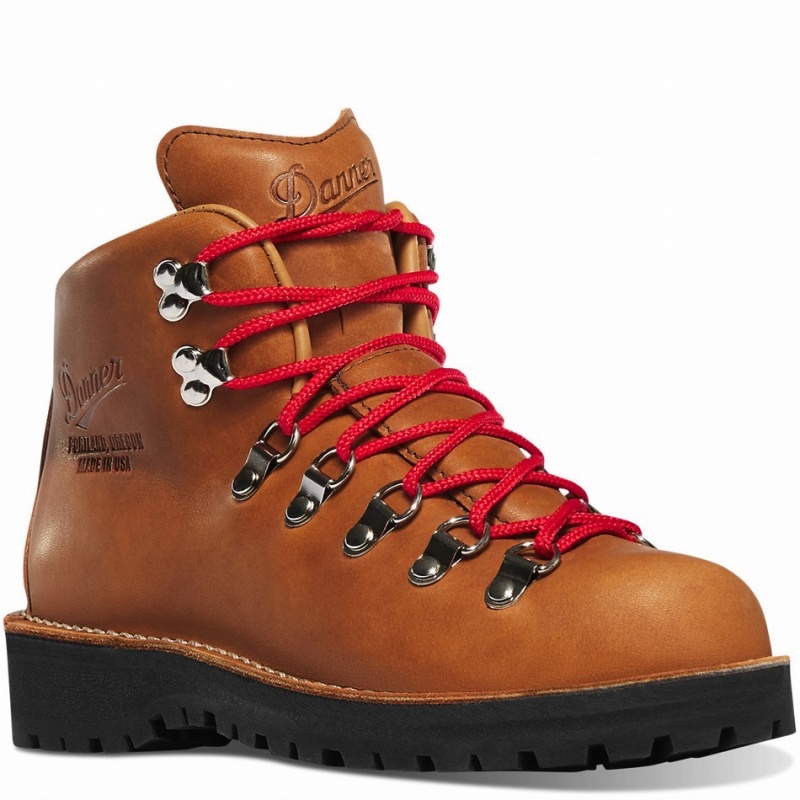 Brown Danner Mountain Light Women's Hiking Boots | 54308