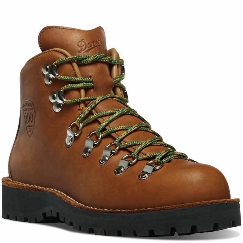 Brown Danner Mountain Light Women's Hiking Boots | 41683