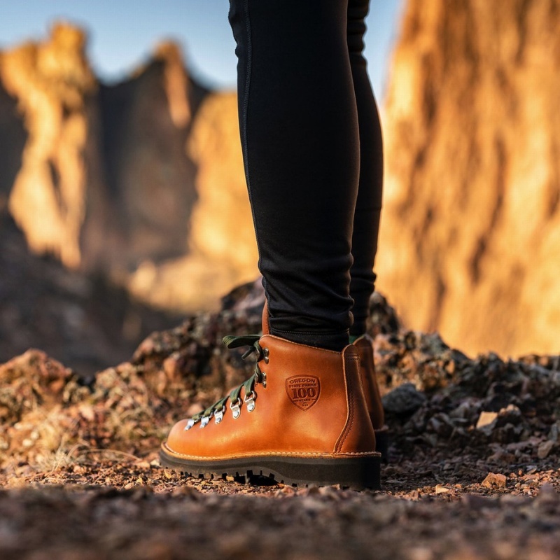 Brown Danner Mountain Light Women's Hiking Boots | 41683