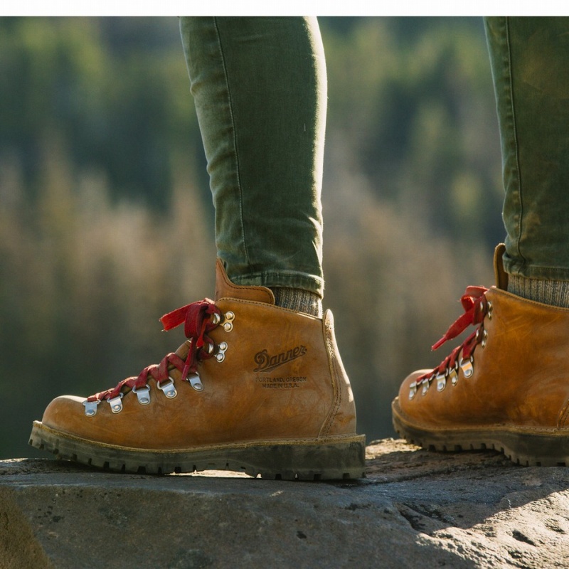 Brown Danner Mountain Light Women's Hiking Boots | 37343