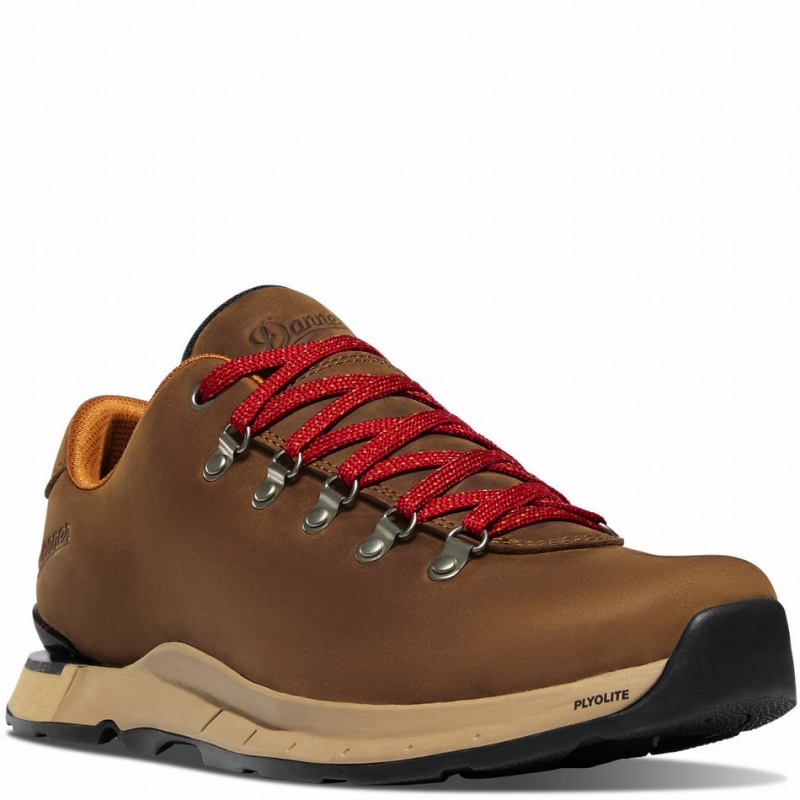 Brown Danner Mountain Overlook Men's Hiking Shoes | 42605