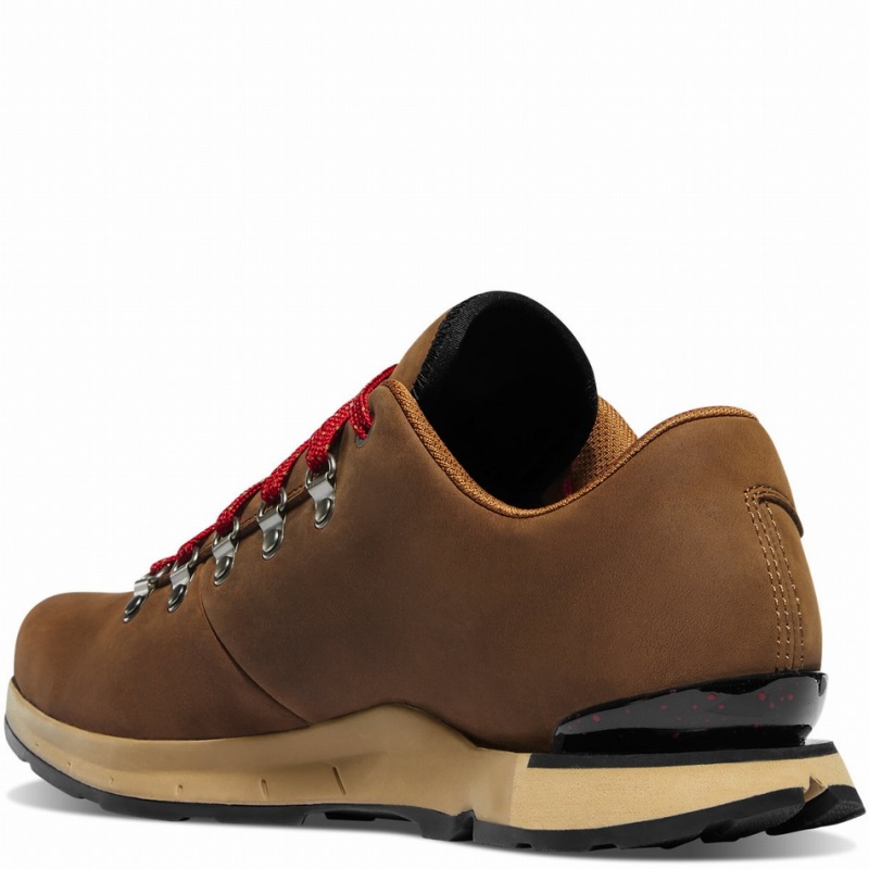 Brown Danner Mountain Overlook Men's Hiking Shoes | 42605