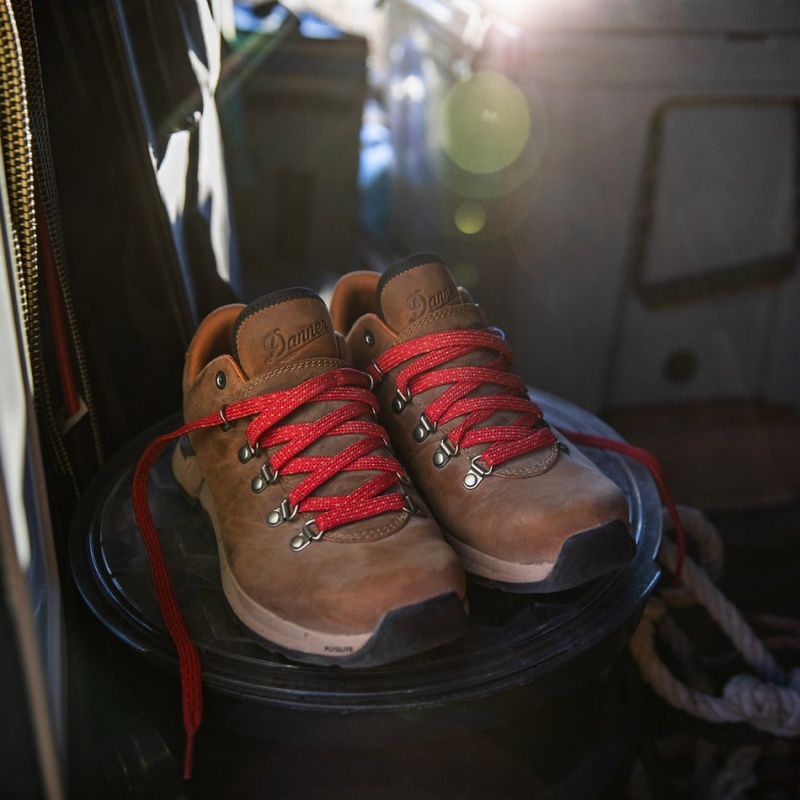 Brown Danner Mountain Overlook Men's Hiking Shoes | 42605