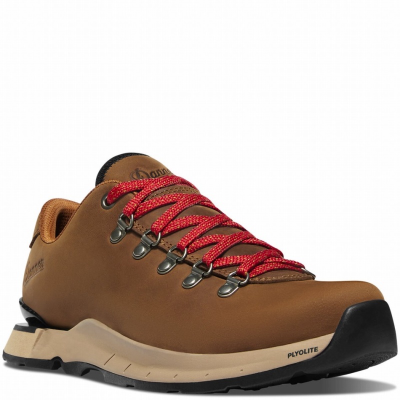 Brown Danner Mountain Overlook Women's Hiking Shoes | 25338